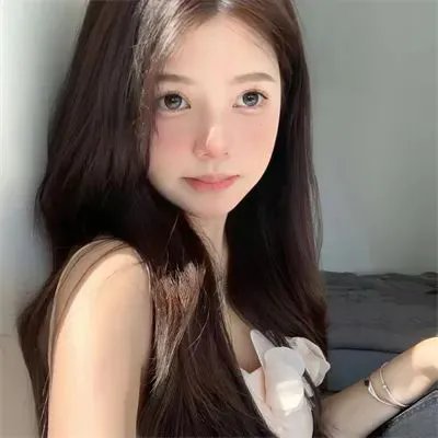 双生赤狐